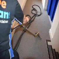 Carpet Cleaning Division of We Move and Clean image 5